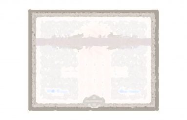 Stone’s Certificate